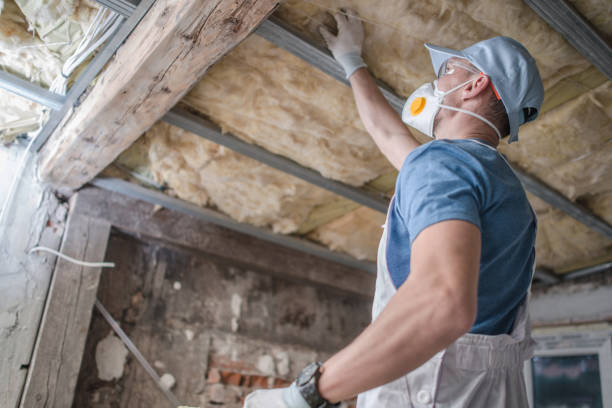 Best Insulation Removal  in Stallings, NC