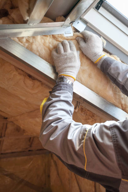 Best Cellulose Insulation  in Stallings, NC