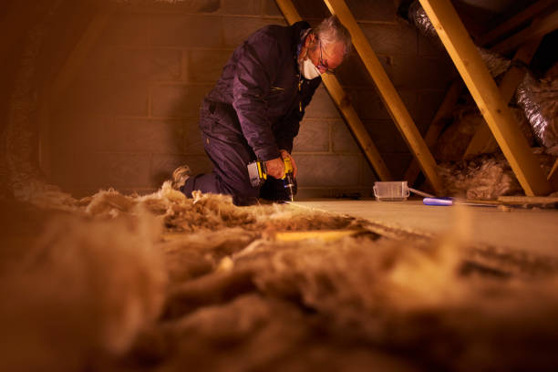 Best Insulation Replacement Services  in Stallings, NC